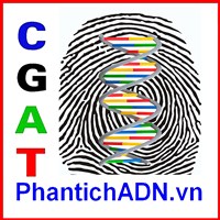 CGAT trên VTV9