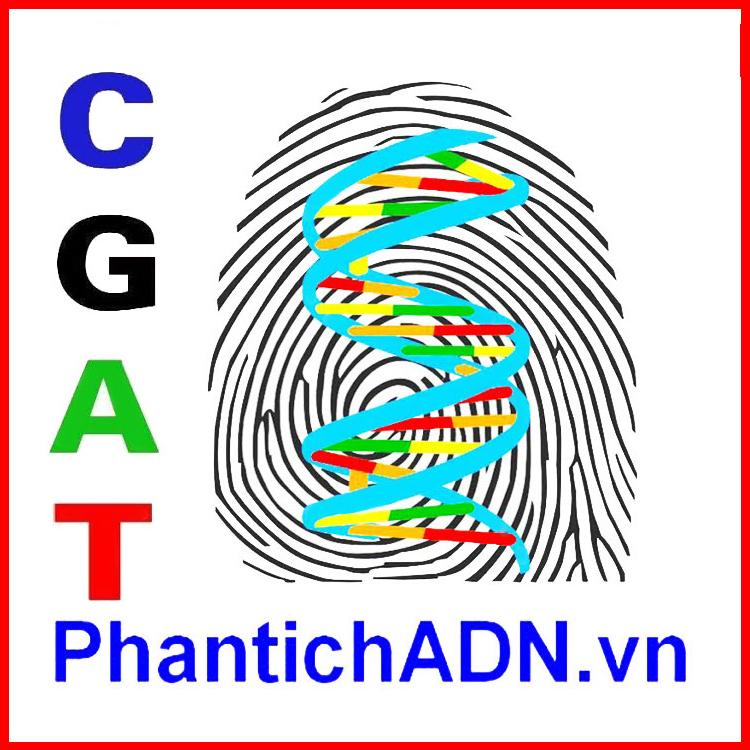 Các tin khác