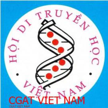 Hội DTH